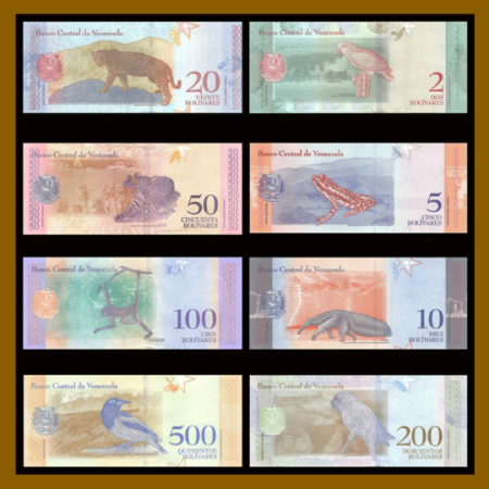 Eight colourful banknotes from Venezuela with various animals.